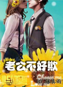 老公不好欺封面