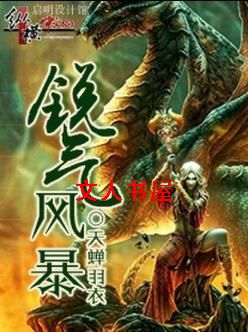 锐气风暴封面