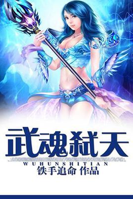 武魂弑天封面