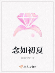 念如初夏封面