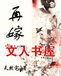 再嫁 再嫁