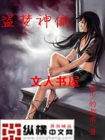 盗梦神偷封面