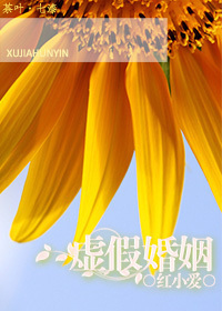 虚假婚姻封面