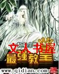 最强教皇封面