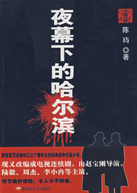 夜幕下的哈尔滨