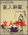 乱入神雕