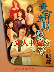 升官发财娶老婆封面