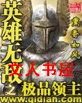 英雄无敌之极品领主