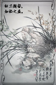 还珠梅花之似兰斯馨