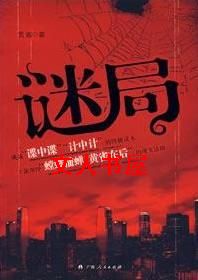 谜局封面