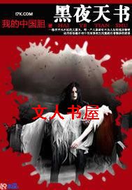 黑夜天书封面