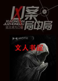 凶案局中局封面