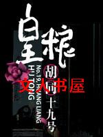 皇粮胡同十九封面