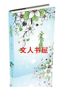 ��������(�߸�)